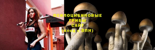 мескалин Володарск