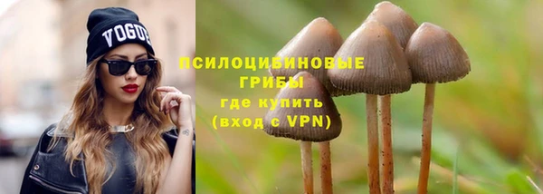ГАЛЛЮЦИНОГЕННЫЕ ГРИБЫ Вязьма